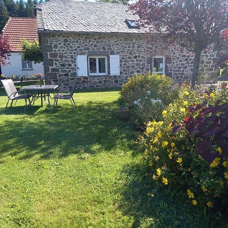 Ferme De Lamourio Saint-Cernin  Exterior foto
