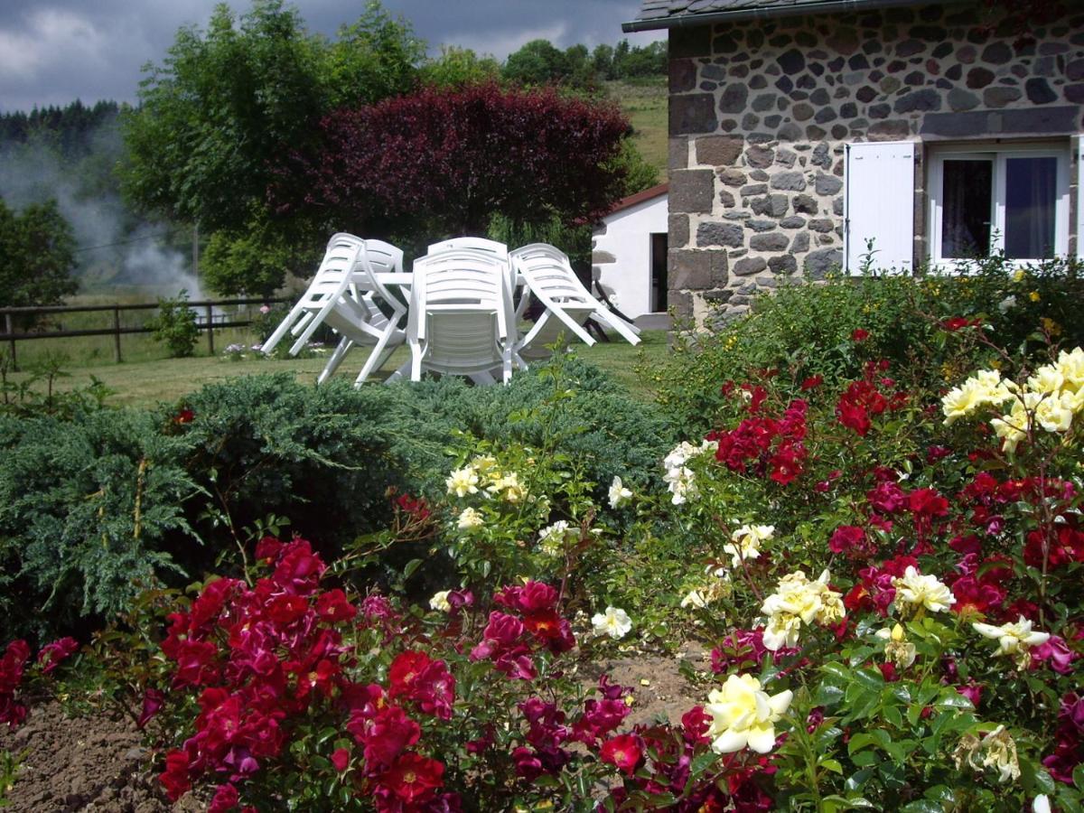 Ferme De Lamourio Saint-Cernin  Exterior foto